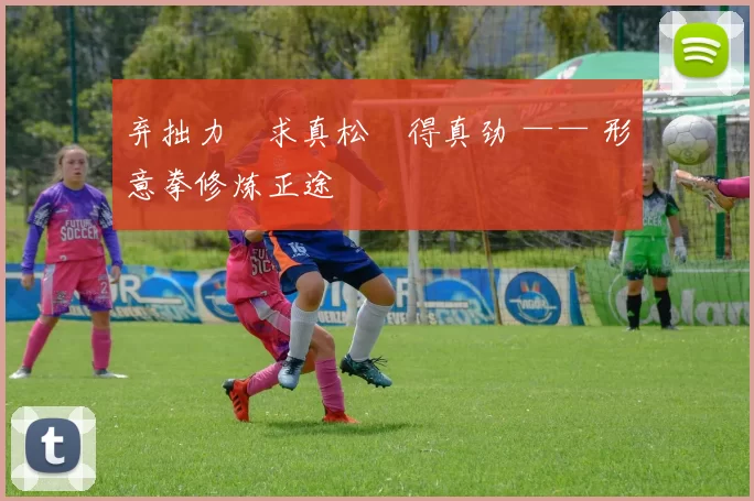 弃拙力・求真松・得真劲 —— 形意拳修炼正途