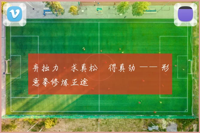 弃拙力・求真松・得真劲 —— 形意拳修炼正途