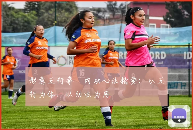 形意五行拳・内功心法精要:以五行为体,以劲法为用