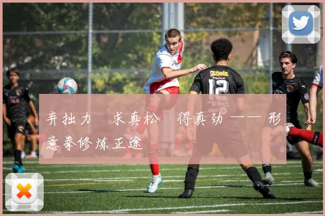 弃拙力・求真松・得真劲 —— 形意拳修炼正途