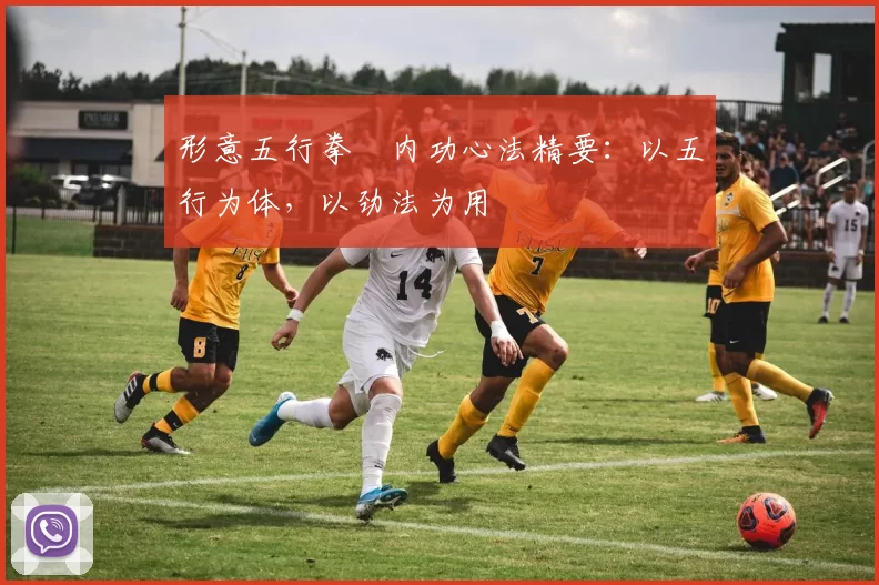 形意五行拳・内功心法精要:以五行为体,以劲法为用