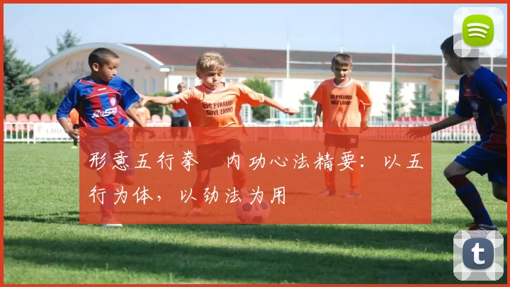 形意五行拳・内功心法精要：以五行为体，以劲法为用