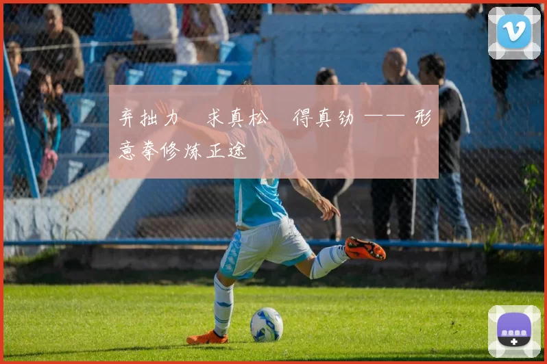 弃拙力・求真松・得真劲 —— 形意拳修炼正途