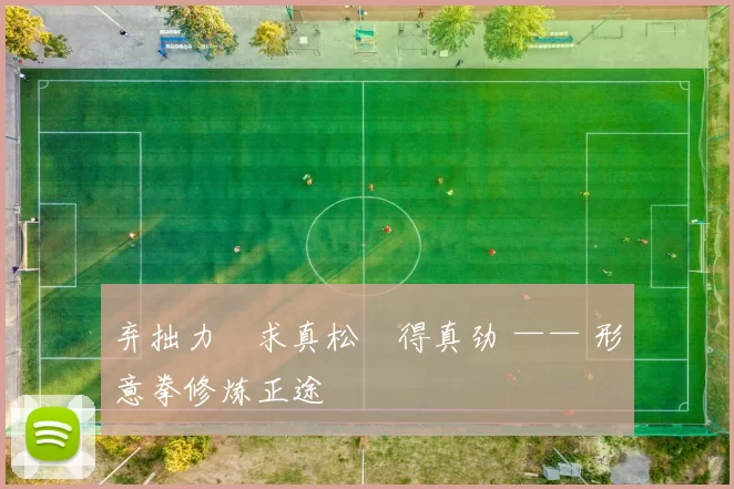 弃拙力・求真松・得真劲 —— 形意拳修炼正途