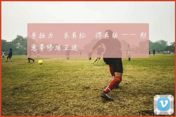 弃拙力・求真松・得真劲 —— 形意拳修炼正途