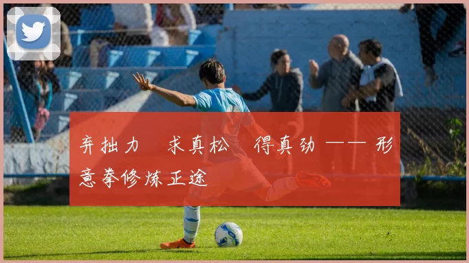 弃拙力・求真松・得真劲 —— 形意拳修炼正途