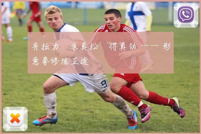 弃拙力・求真松・得真劲 —— 形意拳修炼正途