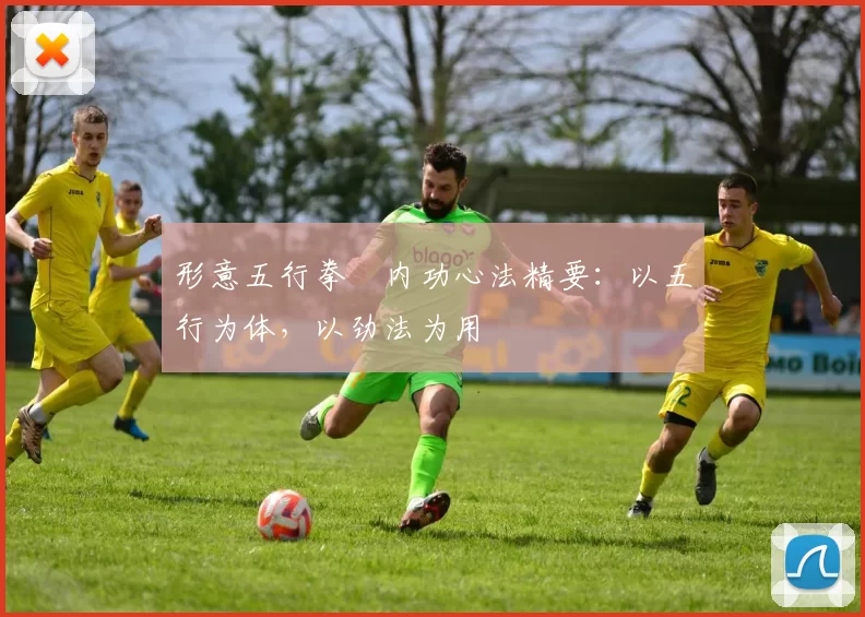 形意五行拳・内功心法精要:以五行为体,以劲法为用