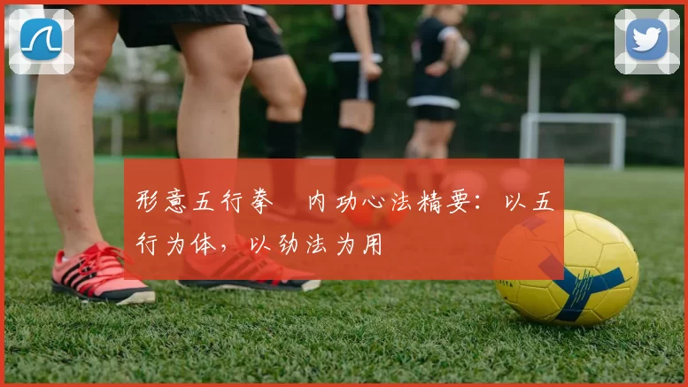 形意五行拳・内功心法精要:以五行为体,以劲法为用