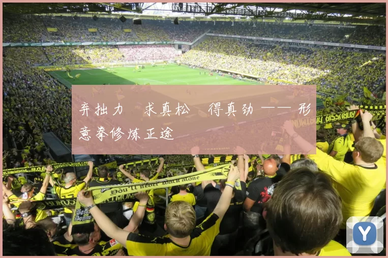 弃拙力・求真松・得真劲 —— 形意拳修炼正途