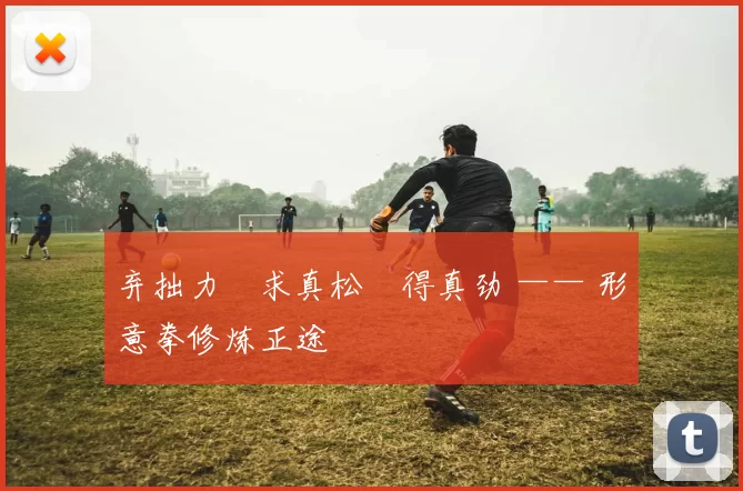 弃拙力・求真松・得真劲 —— 形意拳修炼正途