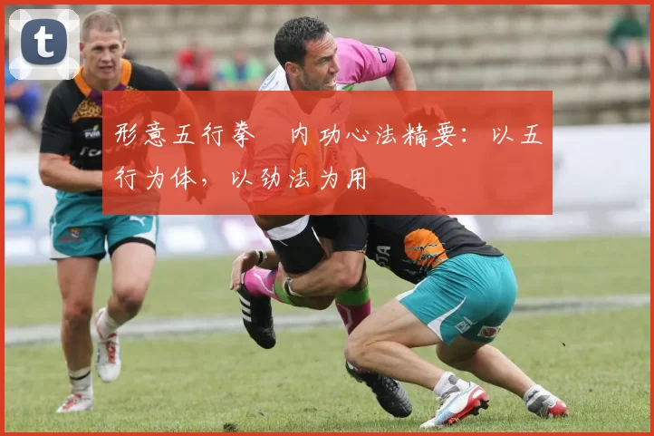 形意五行拳・内功心法精要：以五行为体，以劲法为用