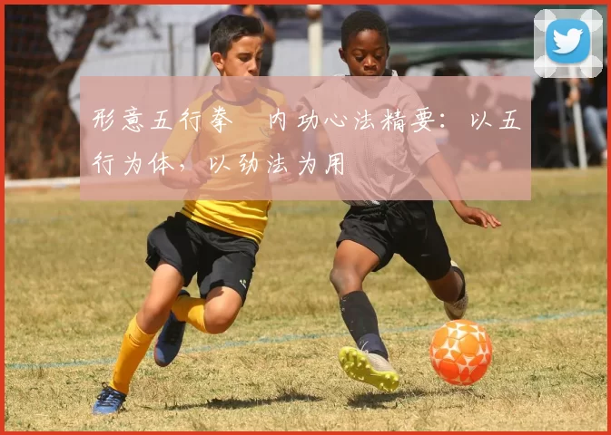 形意五行拳・内功心法精要:以五行为体,以劲法为用