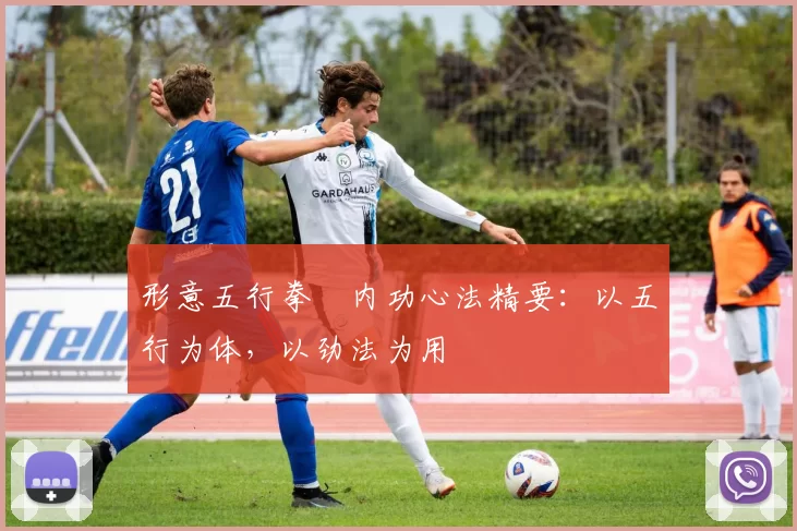 形意五行拳・内功心法精要：以五行为体，以劲法为用