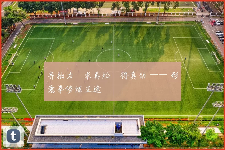 弃拙力・求真松・得真劲 —— 形意拳修炼正途