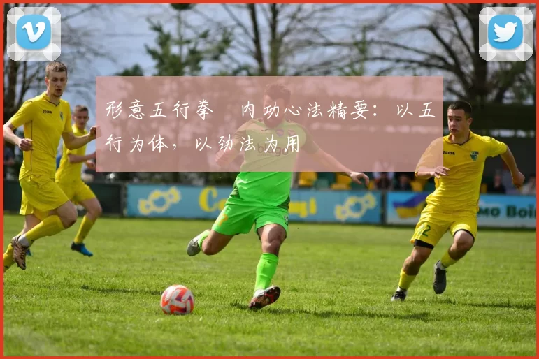 形意五行拳・内功心法精要:以五行为体,以劲法为用