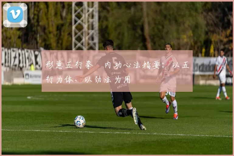 形意五行拳・内功心法精要：以五行为体，以劲法为用