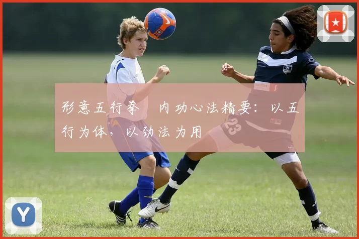 形意五行拳・内功心法精要：以五行为体，以劲法为用