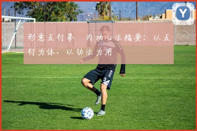 形意五行拳・内功心法精要：以五行为体，以劲法为用