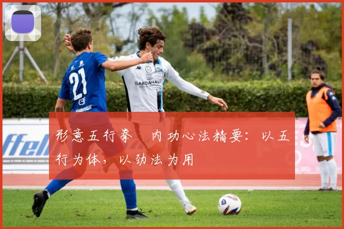 形意五行拳・内功心法精要：以五行为体，以劲法为用