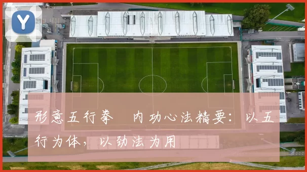 形意五行拳・内功心法精要：以五行为体，以劲法为用