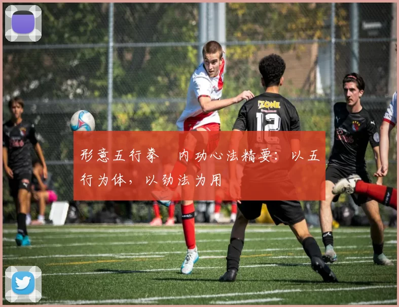 形意五行拳・内功心法精要：以五行为体，以劲法为用