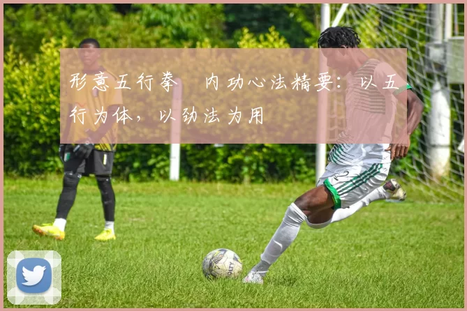 形意五行拳・内功心法精要：以五行为体，以劲法为用