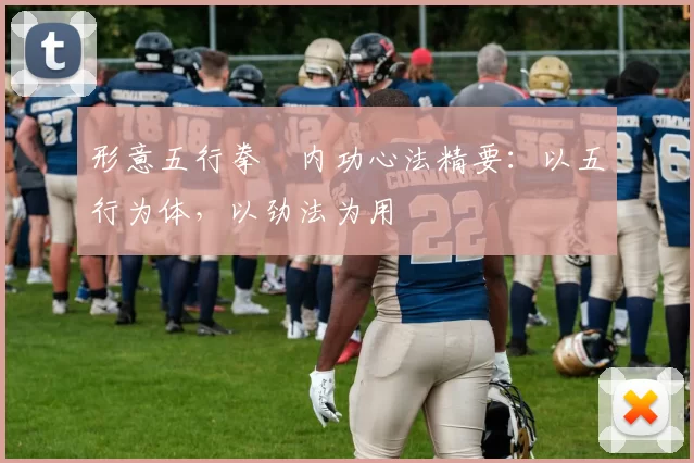 形意五行拳・内功心法精要：以五行为体，以劲法为用