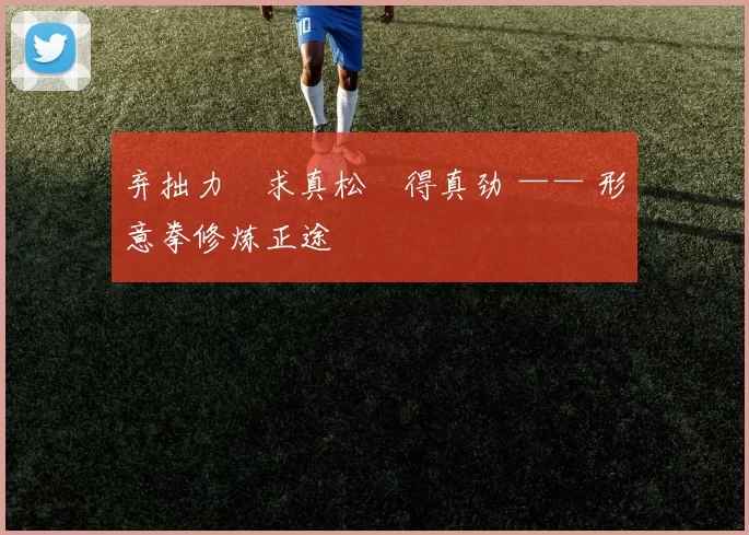 弃拙力・求真松・得真劲 —— 形意拳修炼正途