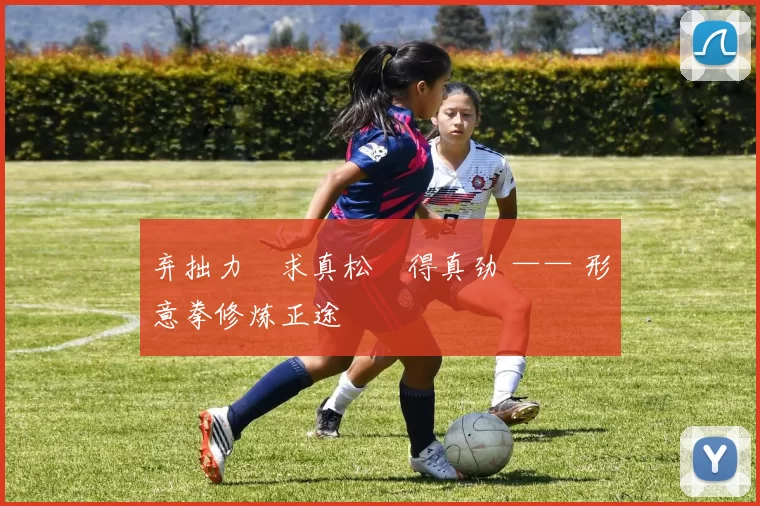 弃拙力・求真松・得真劲 —— 形意拳修炼正途