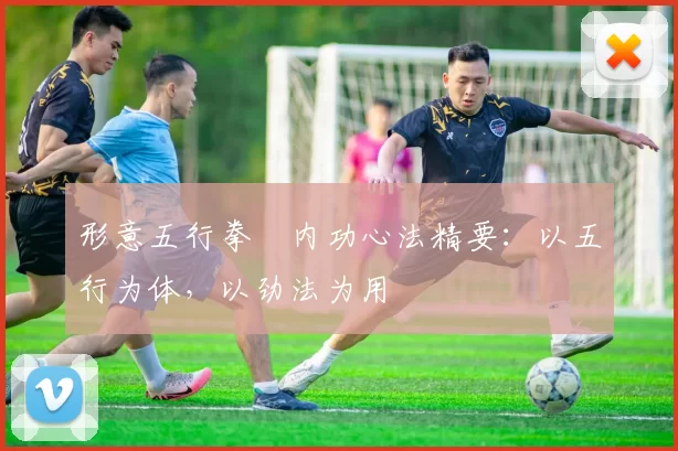 形意五行拳・内功心法精要：以五行为体，以劲法为用