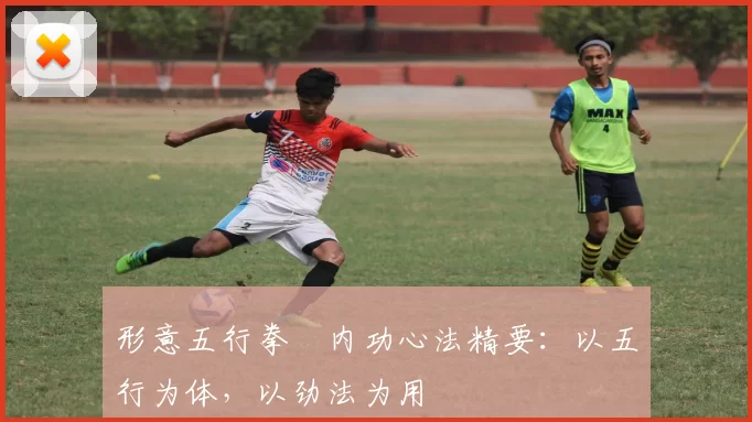 形意五行拳・内功心法精要：以五行为体，以劲法为用