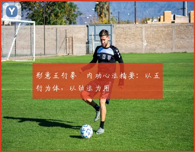 形意五行拳・内功心法精要：以五行为体，以劲法为用