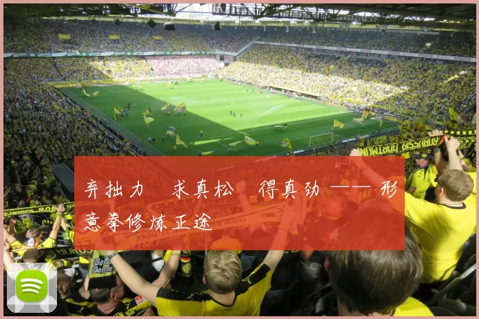 弃拙力・求真松・得真劲 —— 形意拳修炼正途