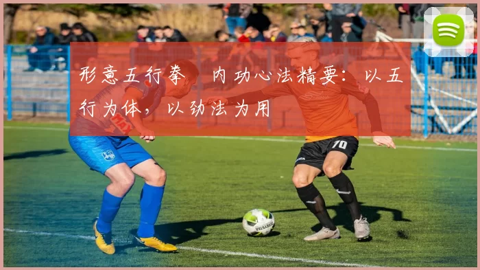 形意五行拳・内功心法精要:以五行为体,以劲法为用