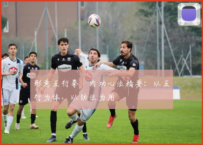 形意五行拳・内功心法精要：以五行为体，以劲法为用