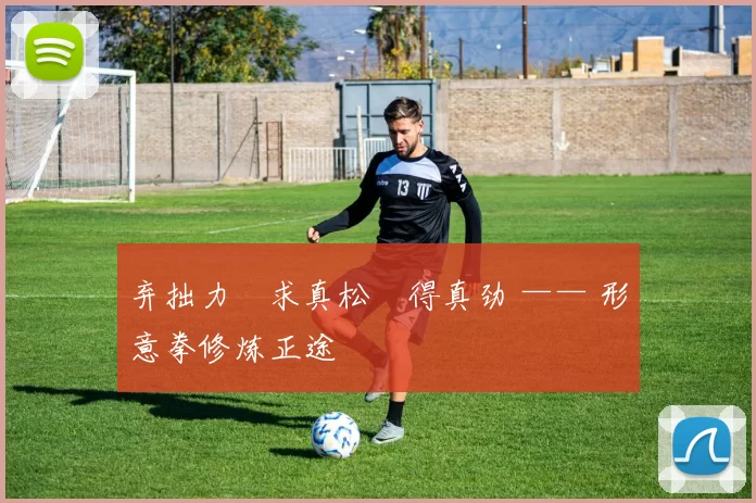 弃拙力・求真松・得真劲 —— 形意拳修炼正途