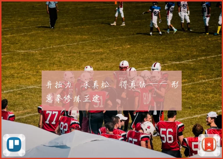 弃拙力・求真松・得真劲 —— 形意拳修炼正途