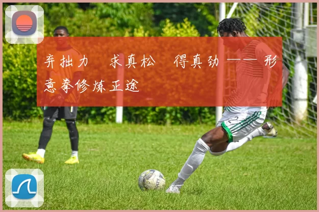 弃拙力・求真松・得真劲 —— 形意拳修炼正途