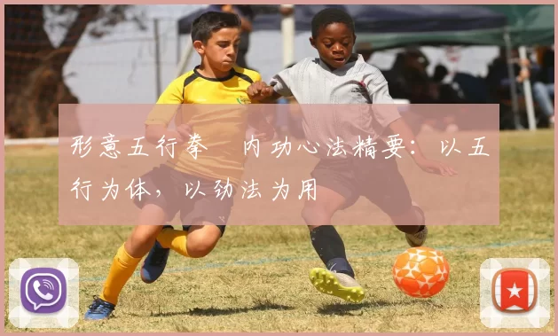 形意五行拳・内功心法精要:以五行为体,以劲法为用