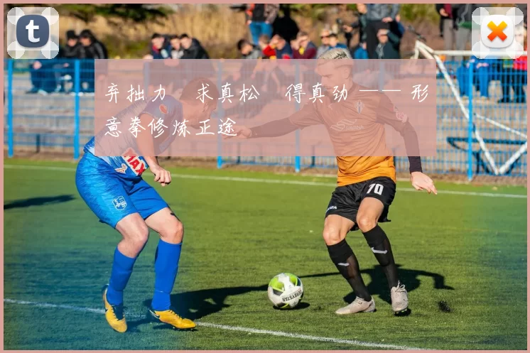 弃拙力・求真松・得真劲 —— 形意拳修炼正途