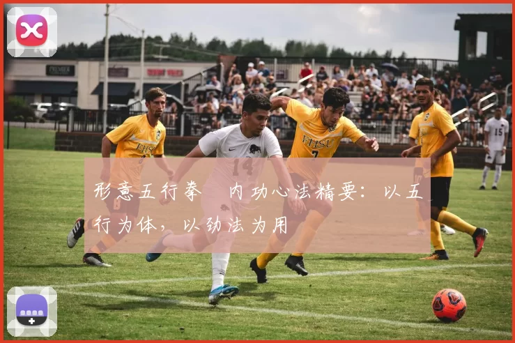 形意五行拳・内功心法精要：以五行为体，以劲法为用