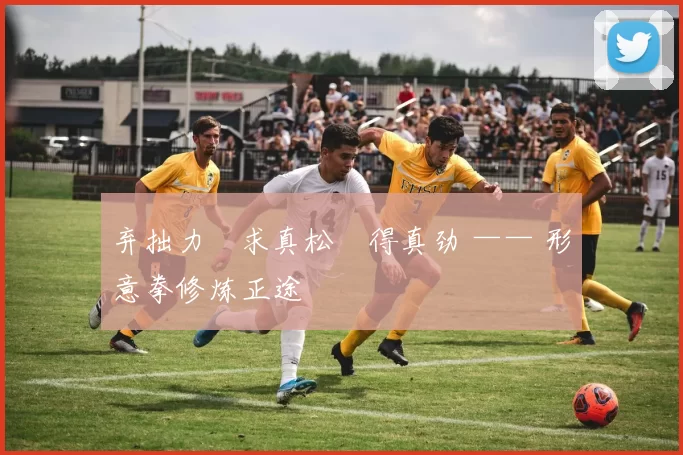 弃拙力・求真松・得真劲 —— 形意拳修炼正途