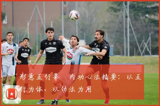 形意五行拳・内功心法精要：以五行为体，以劲法为用