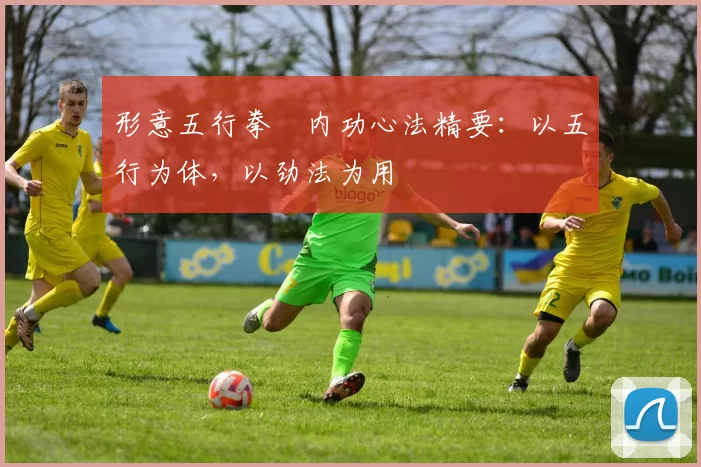 形意五行拳・内功心法精要：以五行为体，以劲法为用