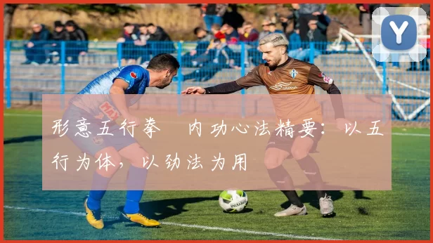 形意五行拳・内功心法精要:以五行为体,以劲法为用