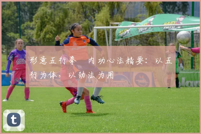 形意五行拳・内功心法精要：以五行为体，以劲法为用