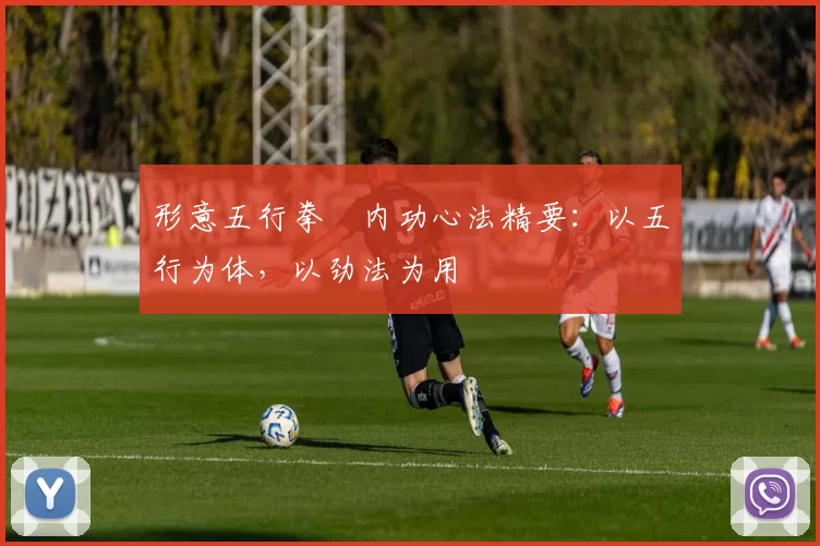 形意五行拳・内功心法精要：以五行为体，以劲法为用