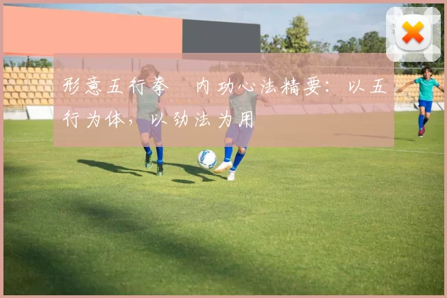 形意五行拳・内功心法精要：以五行为体，以劲法为用