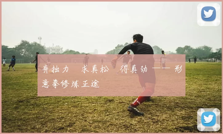 弃拙力・求真松・得真劲 —— 形意拳修炼正途